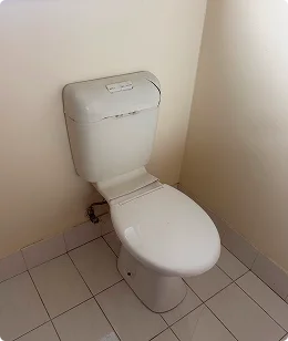 Before: old toilet ready for replacement