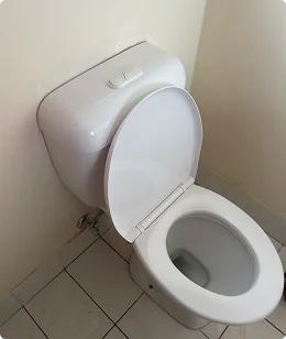 After: new toilet installed in a bathroom